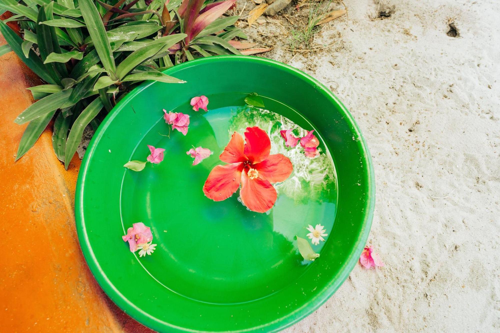 Maisara Mafia Beach Lodge Kilindoni Bagian luar foto